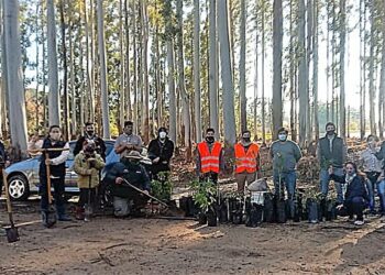 Restauración ambiental en el perilago