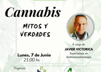 “Cannabis: mitos y verdades”