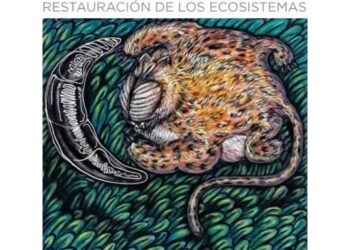 En el día mundial del medio ambiente, los museos de concordia presentan una nueva edición de su revista virtual