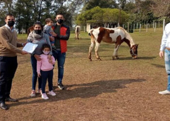 El programa municipal de recuperación de equinos concretó 2 nuevas adopciones