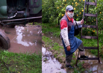 Salerno quiere que los obreros de la fruta trabajen en forma inhumana, sino les  descuentan