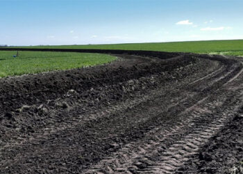 Mantener prácticas conservacionistas colabora a la preservación de los suelos