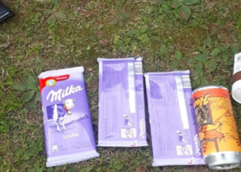 Policiales: varios detenidos en diferentes situaciones delictivas