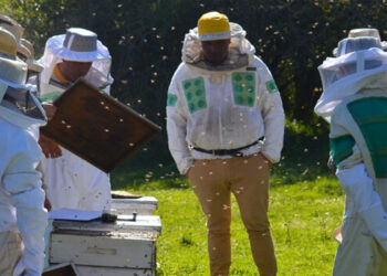 La provincia puso en marcha el Plan Sanitario Apícola en la región centro norte
