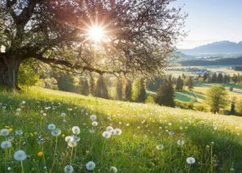 Equinoccio de Primavera 2021: ¿Qué es y cuándo empieza en Argentina?