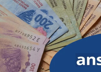 Anses paga $16.000 por un programa, ¿cómo acceder?