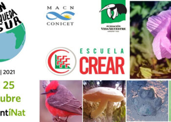 Escuela Crear se suma en Concordia a «la Gran Biobúsqueda del Sur»