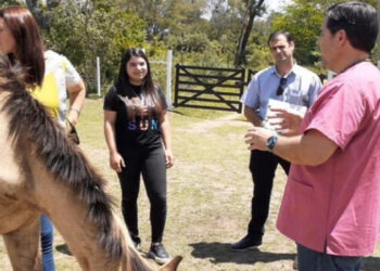 El Centro de Cuidados Ecuestre entregó en adopción a dos equinos rescatados del maltrato