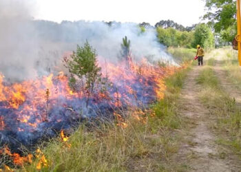 Entre Ríos adhirió a la declaración de emergencia ígnea