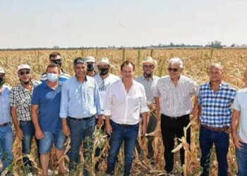 Declararon la emergencia agropecuaria en Entre Ríos