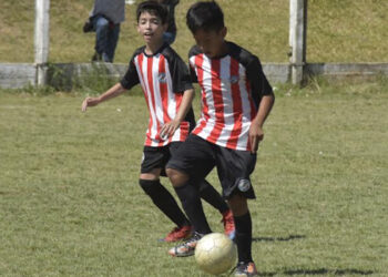 Las inferiores de la Asociación Riverplatense vuelven a entrenar