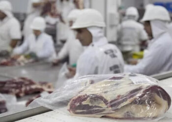 Emiten alerta por un brote de fiebre ocurrido en 2021 en Entre Ríos