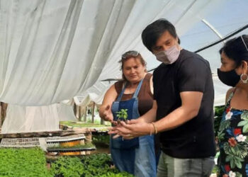 Desarrollo productivo: acompañamiento del municipio a los productores locales