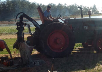Codesal comenzó las tareas de destoconado en las playas del perilago