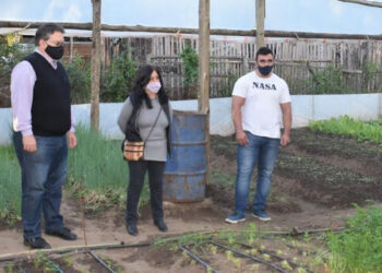 La Municipalidad brindará un taller sobre huertas familiares agroecológicas