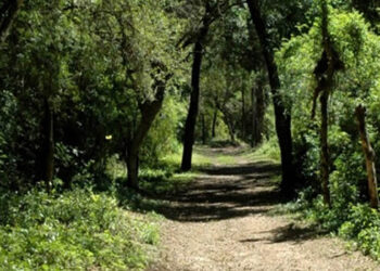 Jornada de encuentro y concientización «Parque San Carlos: Corazón Natural de Concordia»