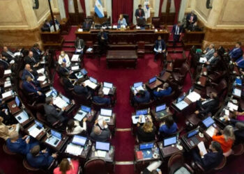 El Senado convirtió en ley el acuerdo del Gobierno con el FMI