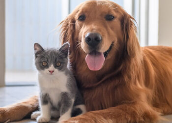 Efemérides del 29 de abril