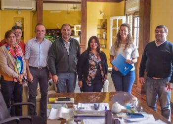 El camping de STEM proyecta contar con el servicio de tendido eléctrico