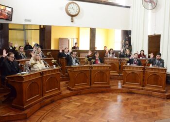 EL CONCEJO DELIBERANTE DECLARÓ DE INTERÉS MUNICIPAL LAS ACTIVIDADES DEL MES DEL PARTO RESPETADO