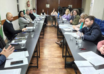 Continuidad de la mesa de Comisión Paritaria de Infraestructura Escolar