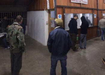 Exitoso torneo de tiro a silueta de vizcacha