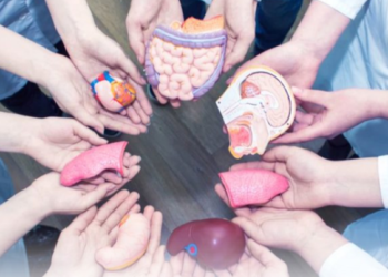 6 de junio: “Día Mundial de los Pacientes Trasplantados”