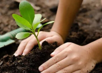 Efemérides del 7 de julio