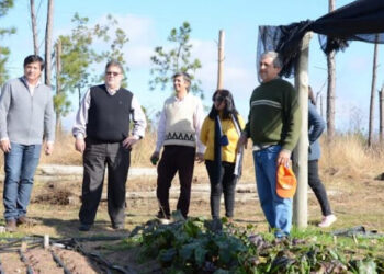 Siguen dándose pasos de apoyo a familias agrícolas locales y empieza a sembrarse futuro en merenderos y comedores