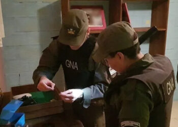 Qué secuestraron en los operativos por la secta