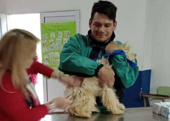 Tenencia responsable de mascotas: desparasitación y vacunas antirrábicas en el barrio simón bolívar