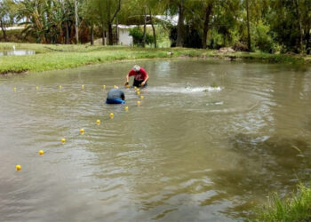 La producción acuícola entrerriana se proyecta como una actividad sustentable