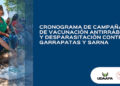 Veterinaria municipal: cronograma de vacunación y desparasitación