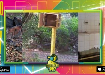 Se presentará la 30º fiesta nacional pesca de la boga ¿y el predio sigue en total estado de abandono?