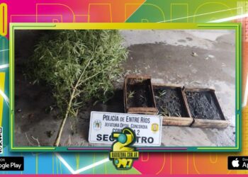 Allanamientos Positivos en la Zona Sur de Concordia