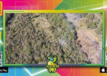 Bomberos voluntarios, con apoyo de la provincia, combaten un incendio en la isla del Puerto de Concepción del Uruguay