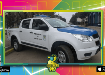 Policiales: Allanamientos varios y detenciones por violencia de género