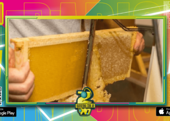 El cooperativismo consolida la cadena de valor apícola entrerriana