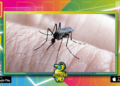Salud delinea acciones interinstitucionales para abordar la situación del dengue en la provincia