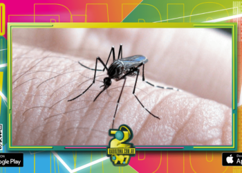 Salud delinea acciones interinstitucionales para abordar la situación del dengue en la provincia