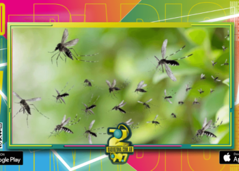 Hubo más de 10 mil nuevos casos de dengue en una semana