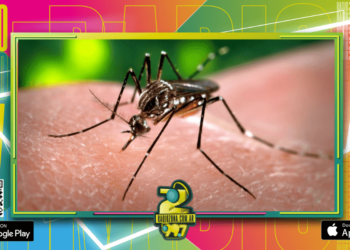 Notifican el fallecimiento de una mujer con diagnóstico positivo de dengue