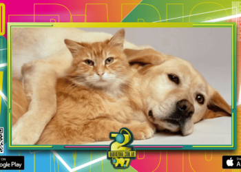 Efemérides del 29 de abril