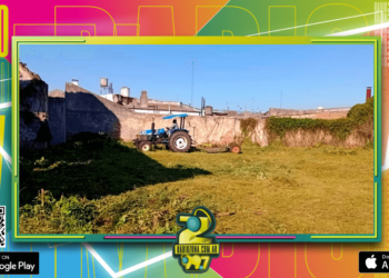 Saneamiento Ambiental realizó tareas de desmalezado, fumigación y desratización