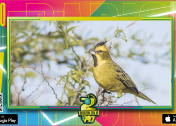 Aves y mamíferos autóctonos de Entre Ríos fueron declarados monumentos naturales