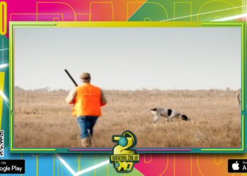 Papelón: la justicia contradice al gobierno entrerriano y asegura que la caza de animales autóctonos es ilegal