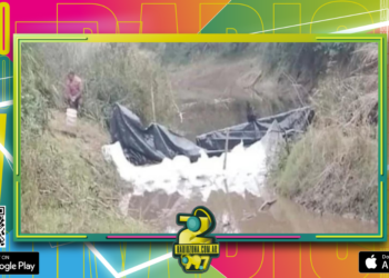 Caso Cecilia: confirmaron que son humanos los restos óseos hallados en el Río Tragadero