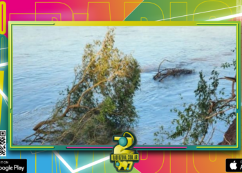 El Parque San Carlos Informa