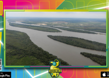 Realizarán una consulta pública para presentar el Plan de Manejo del futuro parque natural del río Uruguay