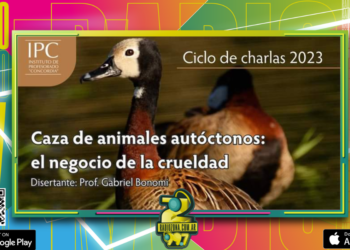 CEYDAS en el ciclo de charlas 2023 del IPC